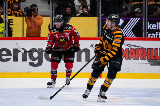 Luleås Brian O'neil och Skellefteås Andreas Johnson