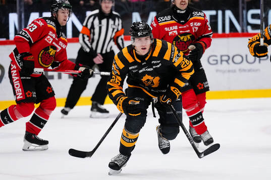 Skellefteås Michael Brandsegg-Nygård
