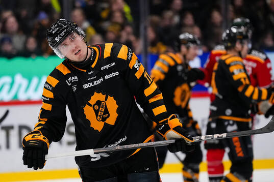 Skellefteås Max Lindholm