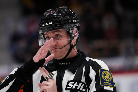 Domare Daniel Eriksson