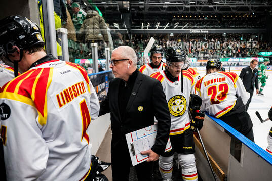 Brynäs assisterande tränare Anders Carlsson