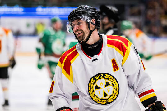 Brynäs Anton Rödin