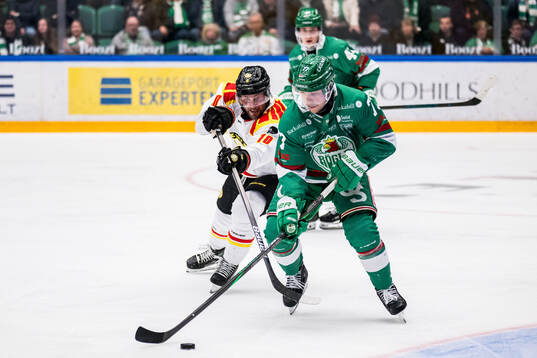 Brynäs Johan Larsson och Rögles Jesper Pettersson
