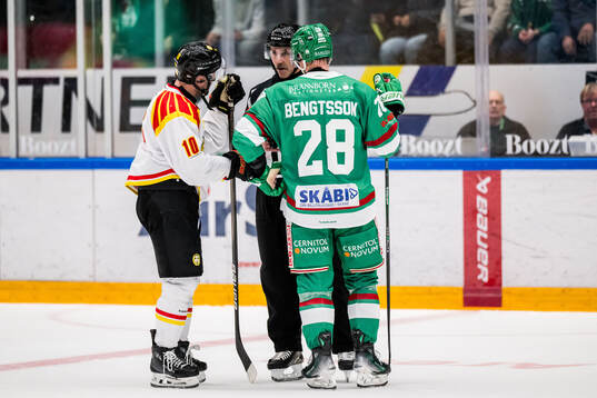 Brynäs Johan Larsson och Domare Linus Öhlund och Rögles