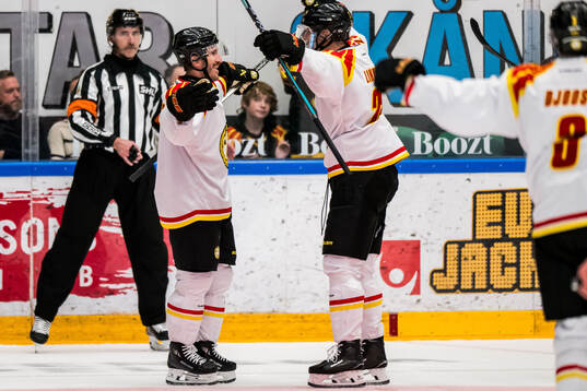 Brynäs Jordan Schroeder jublar