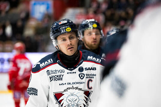 Linköpings Markus Ljungh jublar