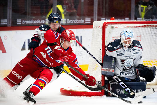Timrås Filip Hållander
