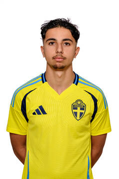 Emil Karlsson