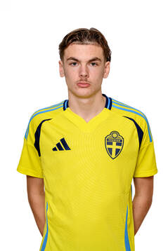 Dani Hodzic