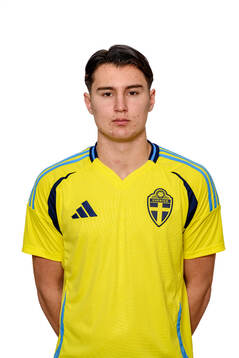 Mario Amini