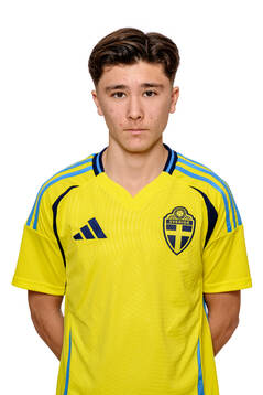 Vincent Larsson