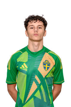 Adin Tihic, målvakt