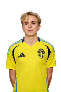 Hannes Hyllenbom