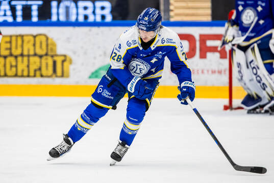 Leksands Justin Glenn Kloos
