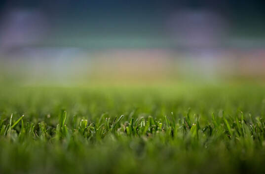 Detailed view of the grass at Ferencvaros Stadium