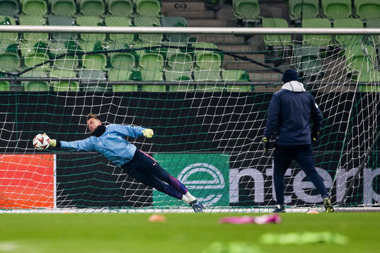 Goalkeeper Ricardo Friedrich of Malmö FF
