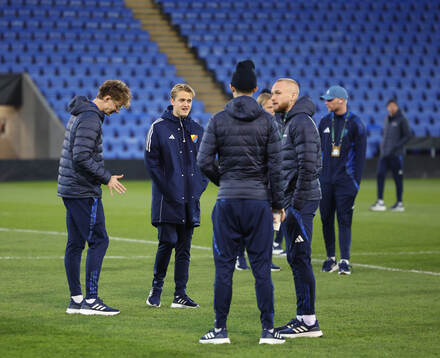 Players of Djurgården inspect the pitch