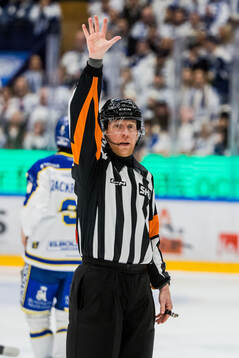 Domare Mikael Holm