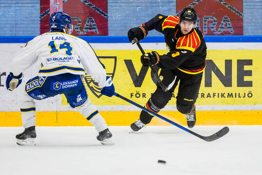 Brynäs Christian Djoos
