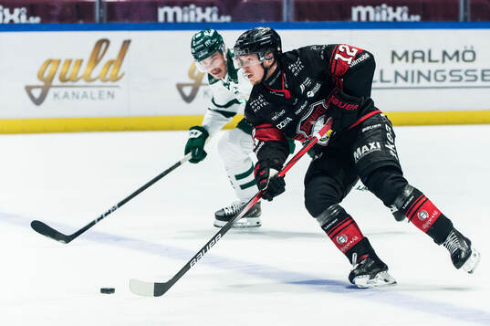 Malmö Redhawks Linus Öberg och Färjestads Alexander
