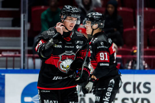 Malmö Redhawks Fredrik Händemark deppar