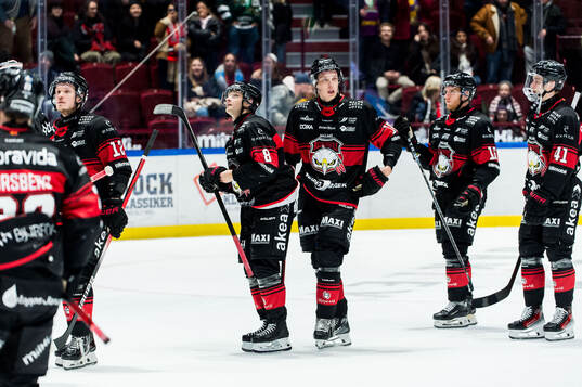 Malmö Redhawks spelare deppar