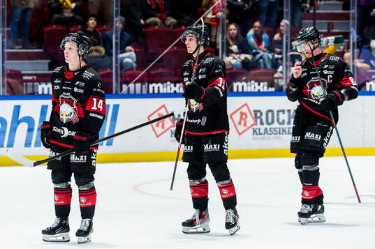 Malmö Redhawks spelare