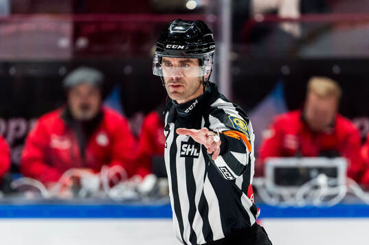 Domare Richard Magnusson