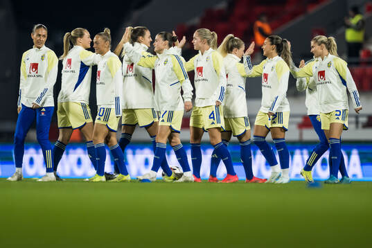 Players of Sweden