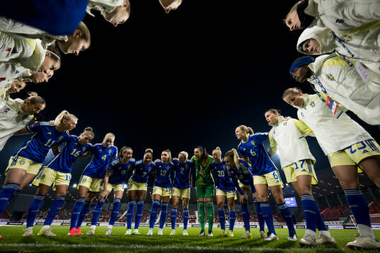 Players of Sweden gather