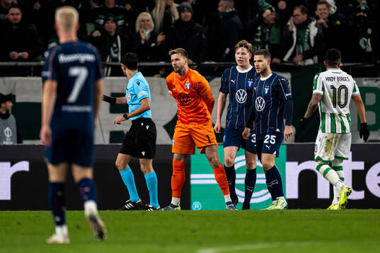 goalkeeper Ricardo Friedrich of Malmö FF