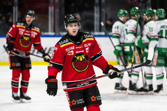 Luleås Jesper Sellgren deppar