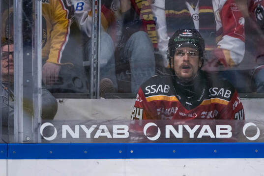 Luleås Brendan Shinnimin i utvisningsbåset