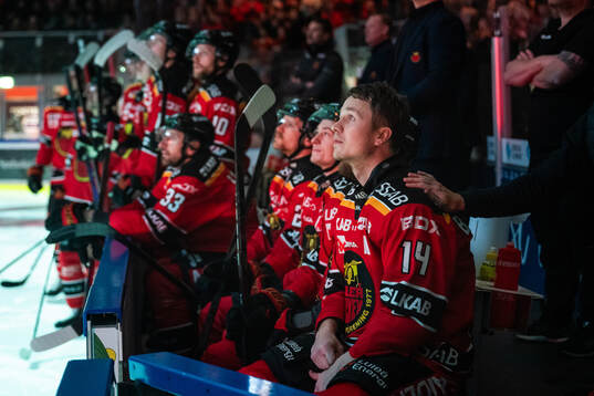 Luleås Jonas Berglund hyllas