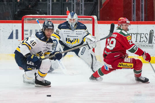 HV71s målvakt Olof Glifford