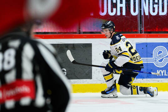HV71s Oscar Fisker Molgaard jublar