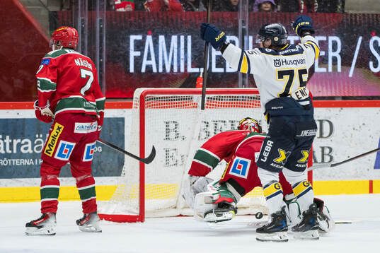 HV71s Radan Lenc jublar