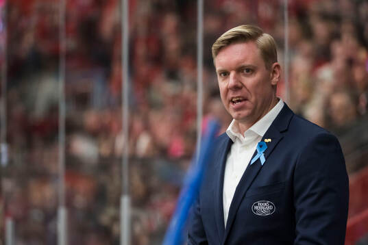 HV71s tränare Anton Blomqvist