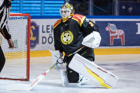 Brynäs målvakt Erik Källgren deppar