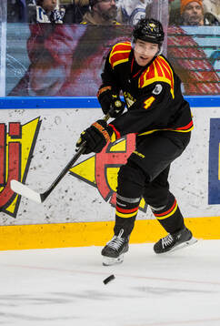Brynäs Theo Lindstein