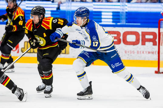 Leksands Dennis Altörn