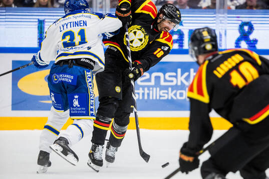 Brynäs Anton Rödin