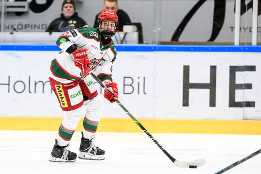 Modos Ebba Hedqvist