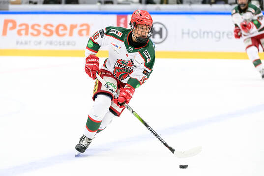Modos Wilma Sundin