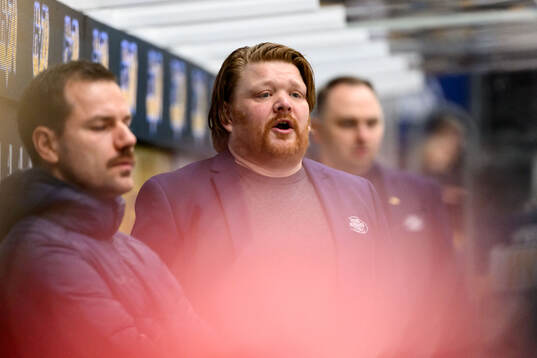 HV71s tränare Thomas Pettersen