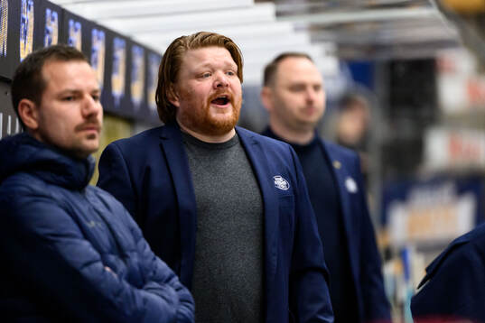 HV71s tränare Thomas Pettersen