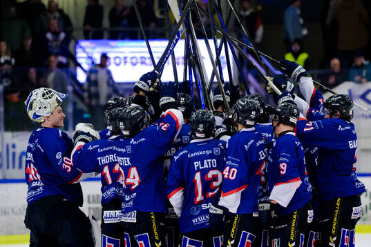 Karlskogas spelare jublar