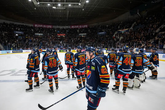 Djurgårdens spelare jublar