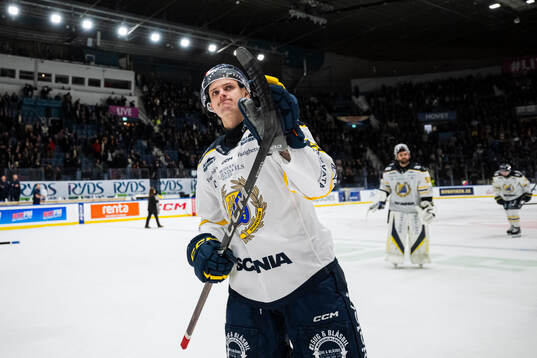 Södertäljes Ludvig Hedström deppar