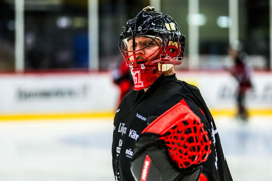 Nybros målvakt Tex Williamsson